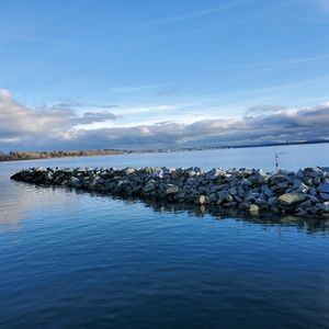 Meet your Posher, Joanne